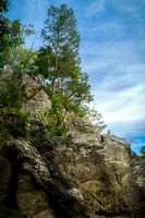 Trees Upon a Rocky Cliff - Full Color