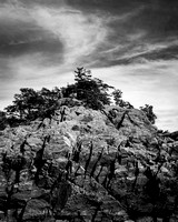Trees on a Rock Peak