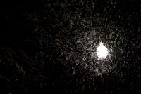 Lamp post in a winter ice storm at night