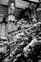 Cathedral and Flowers
